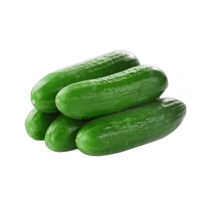 french cucumber by budan farms chd