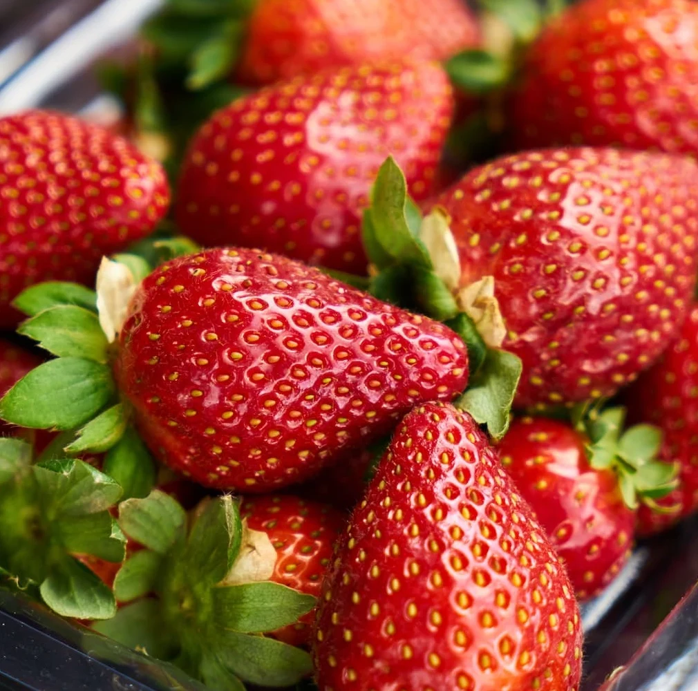 fresh strawberry by budan farms chandigarh